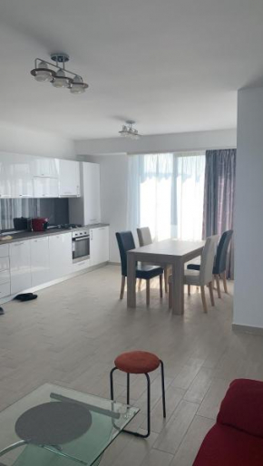 Apartament Penthouse pe Dem Radulescu , cu doua dormitoare , bloc nou